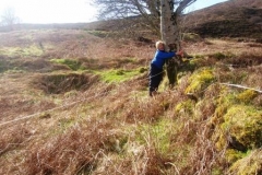 Tree Hugger at 1/9