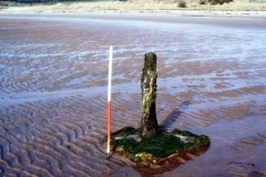 scalpsie-bay-ww2-anti-glider-posts-2
