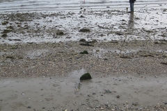 walkway-remains-2