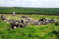 dundruf-steading