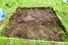 trench-2-after-turf-removal
