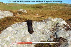 dugie-macinnes-cow-pat