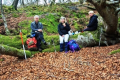 5-big-harbour-lunch-in-the-woods-to-the-west-of-big-harbour-copy