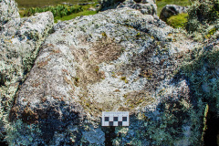 FEATURE-376-saddle-quern