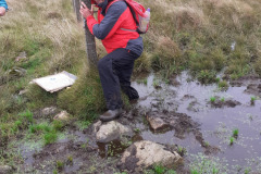 Help! Get me out of here. Not another ACFA survey in the bog