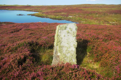 Looks like one of those standing thingies. Oh, no, can't be, nothing on Canmore. Ah, well, another lucky glacier strike! Neolithic standing stone , Loch Olabhat, September 2023
