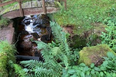 Gardrum Mill Pond Lade and Spill-way to the remains of the mill