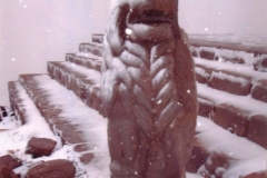 lion-in-winter
