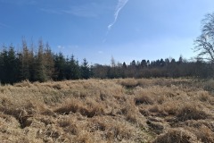 GStockbriggs-pond-looking-east-to-bank