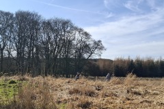 Iview-southwest-from-east-bank