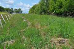 general-view-field-dyke-heading-south-west