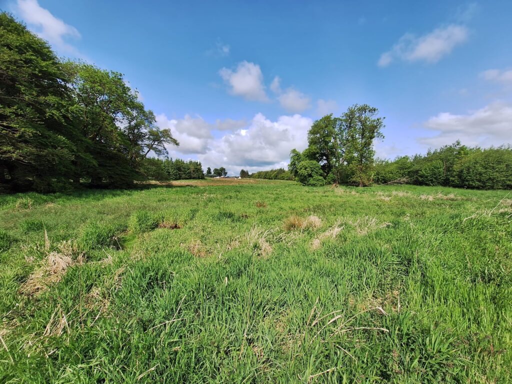 View of landscape with long grass, trees and farm buildings in the distance
