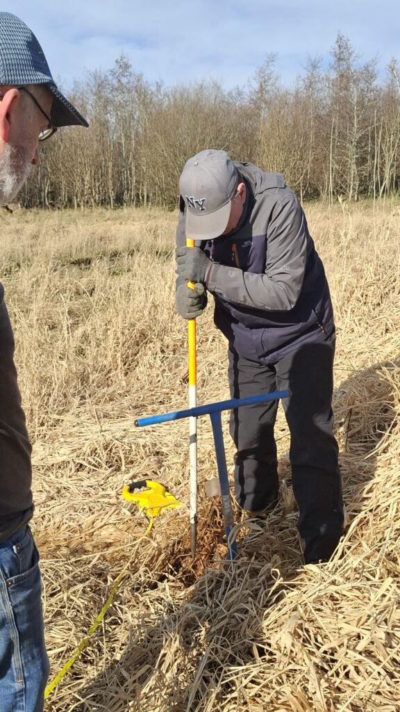 Two men stand in an area of dead long grass. One in the centre of the image is holding a ranging pole beside an auger handle.
